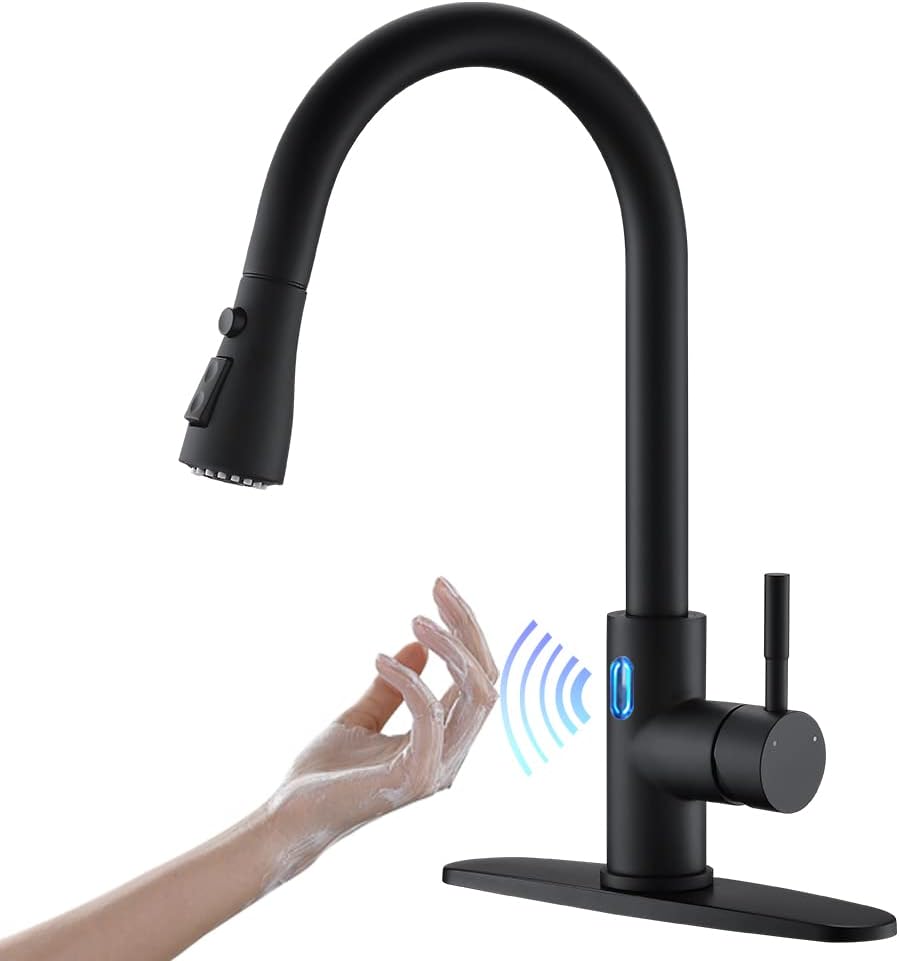 OWOFAN Kitchen Faucet with Shower Head Black 10 Inch Product Bundles