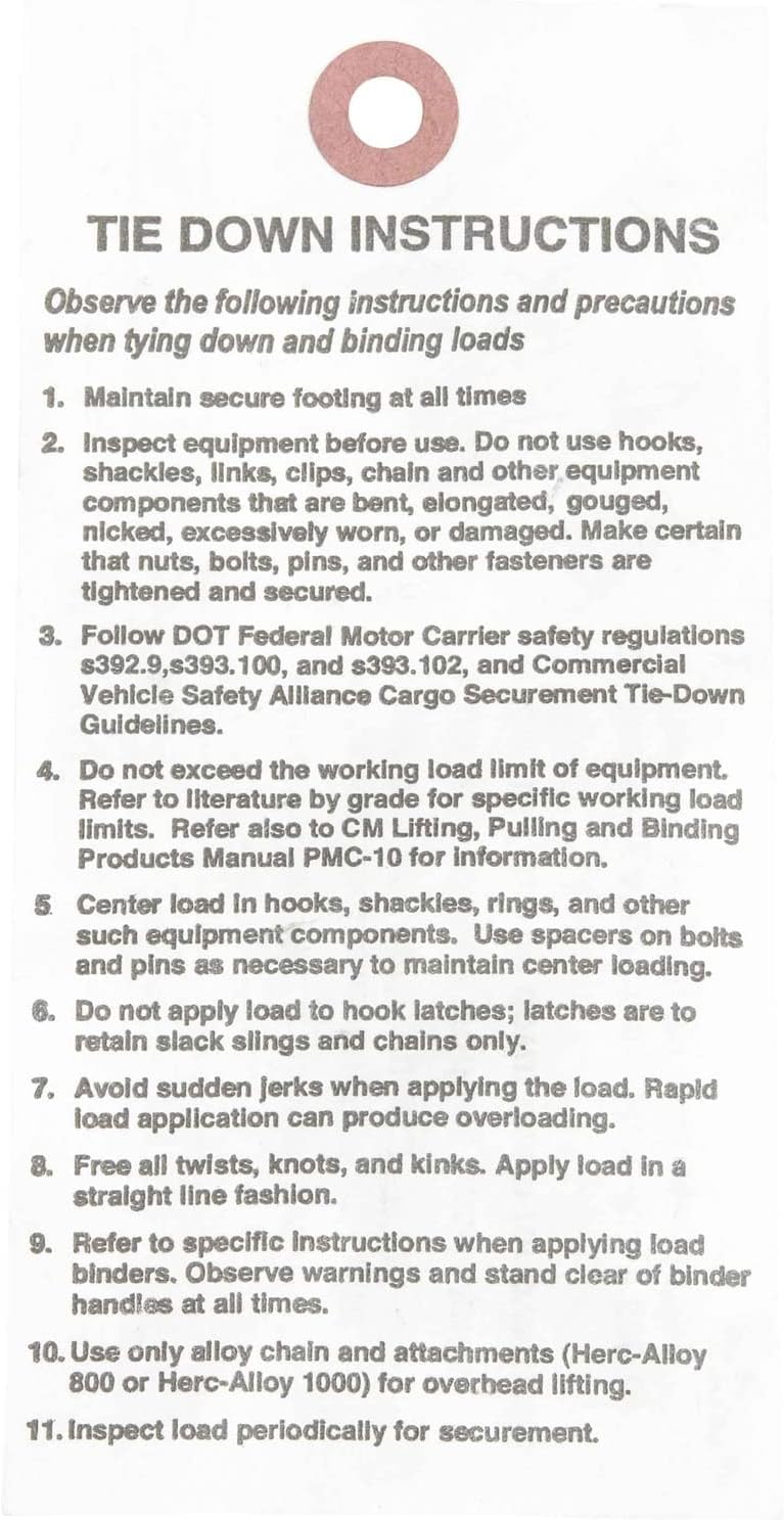 Mytee Products 3/8" x 20' Grade 70 Transport Binder Chain - Made in USA with G70 Grab Hooks - Tow Transport Binder Chain - 6,600 Lbs WLL