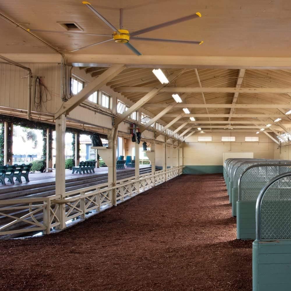 Big Ass Fans E Series 12 ft Industrial 6 Blade Ceiling Fan Gearless Direct Drive Motor, High Volume Low Speed, Wired Wall Remote, 110-125V/1ph - Silver/Yellow